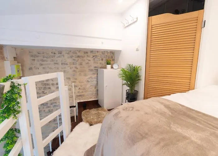 Duplex Parisien Charmant En Face Metro13